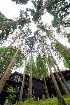 福井市美山森林温泉 みらくる亭の写真1