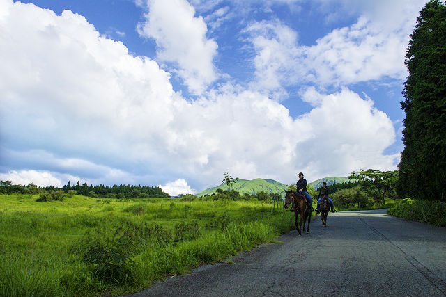 阿蘇ハイランド乗馬クラブの写真1
