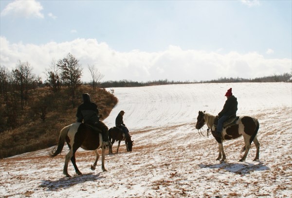 夢☆大地 グリーンバレーの写真1