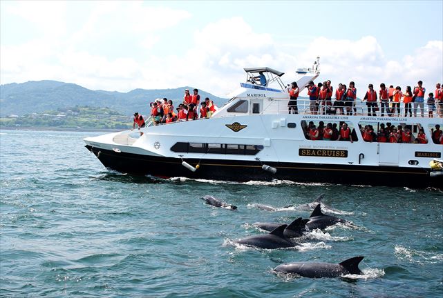 シークルーズの写真1