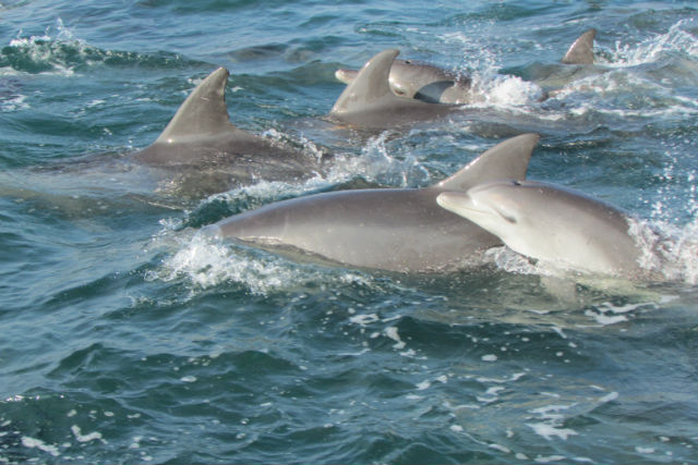 天草漁業協同組合五和支所の写真1