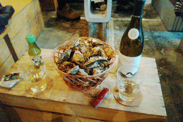 菊陽かき小屋の写真1