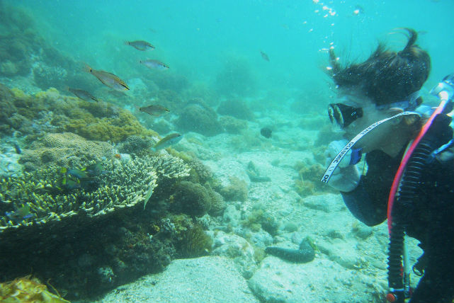 牛深ダイビングサービスの写真1