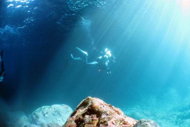 DIVING LIFESTYLE CREATOR SEA REXの写真1