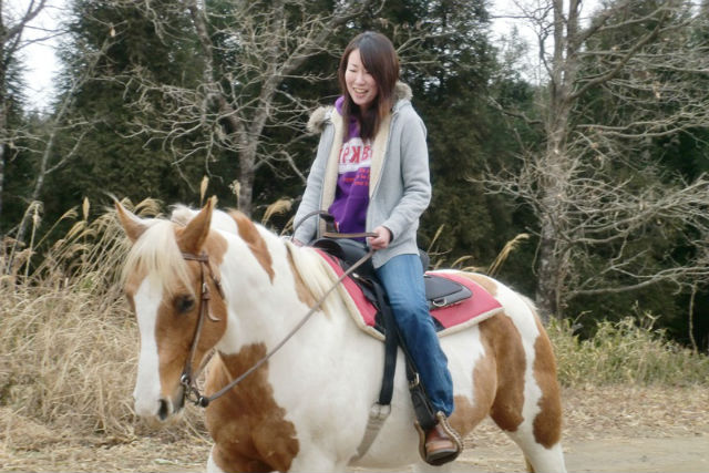 Moon River Horseの写真1