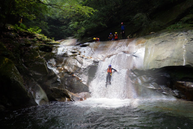 童心に蛙の写真1