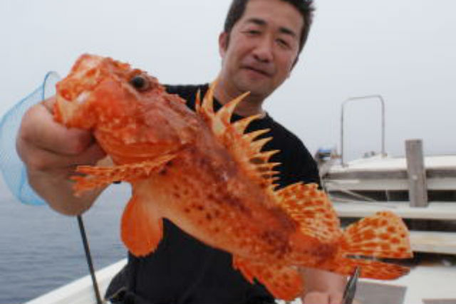 オッターテイルの写真1