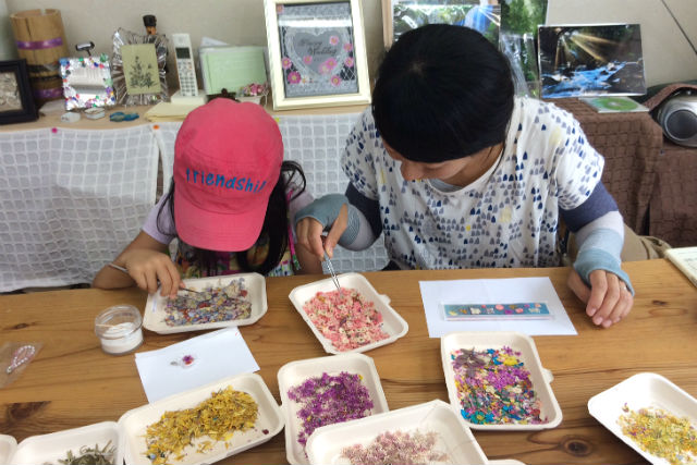 おし花工房いちりん草の写真1