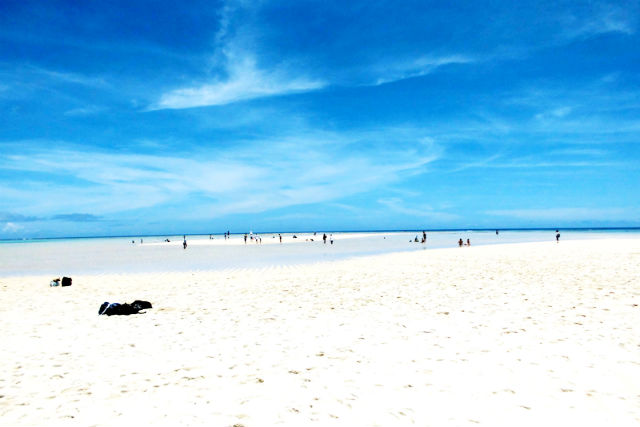 百合ヶ浜グラスボート事業組合の写真1