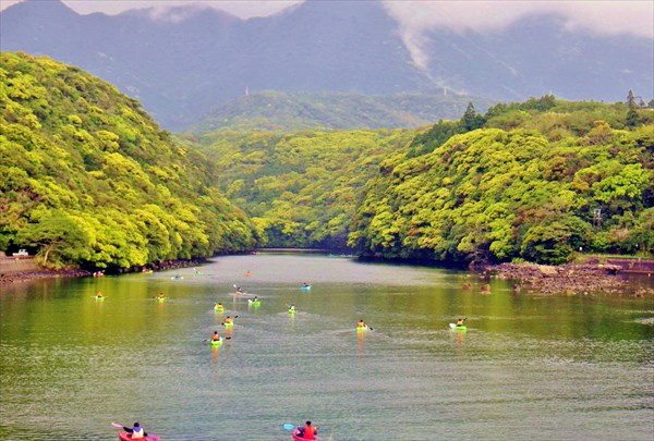 屋久島フィールド情報センターの写真1