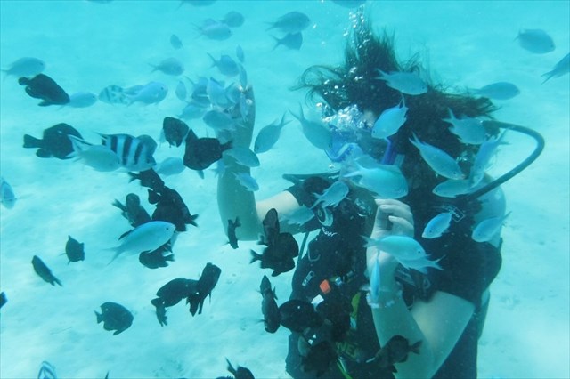 奄美海族塾の写真1