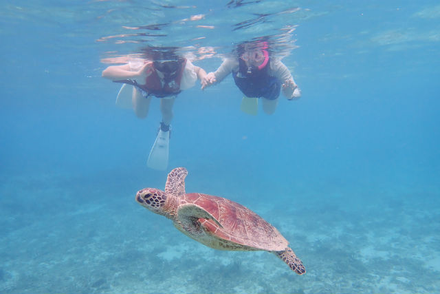 マリンヴィレッジ奄美の写真1