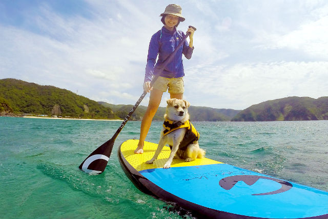 国直集落まるごと体験の写真1