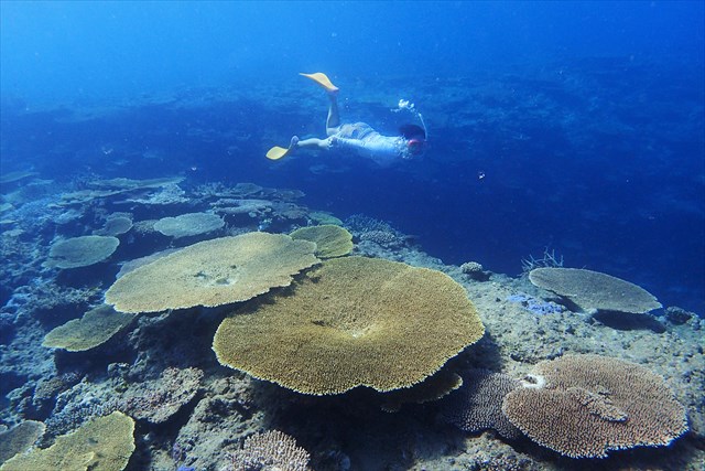 マリンスポーツ奄美の写真1