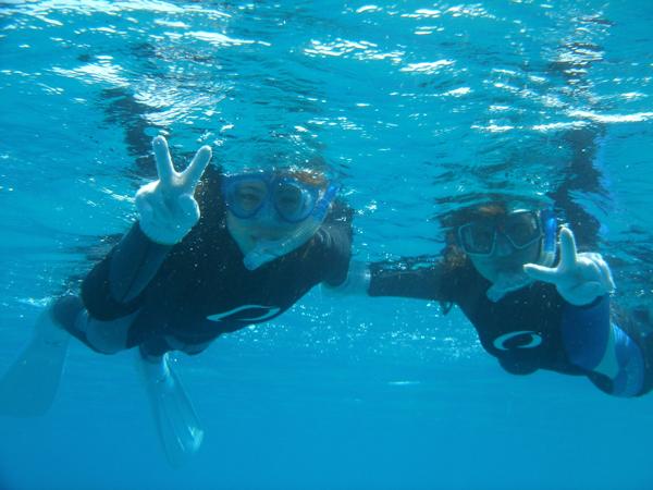 屋久島ガイドクラブの写真1