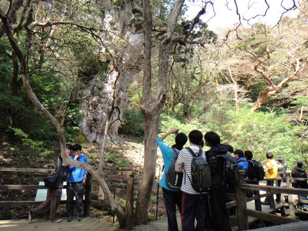 屋久島ガイド21EC-Kの写真1