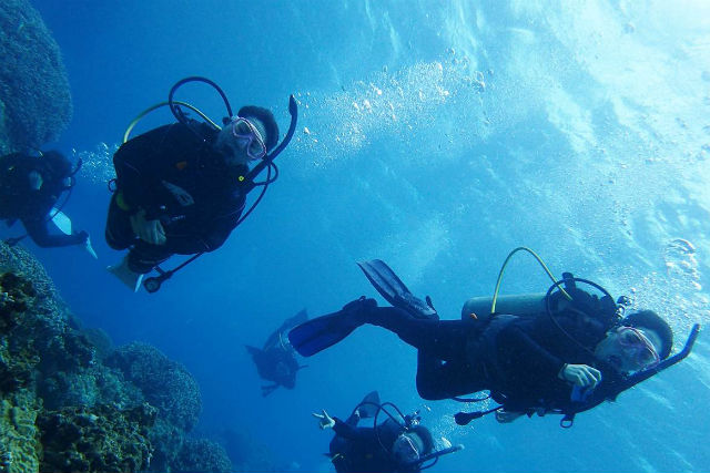 シープレイスの写真1