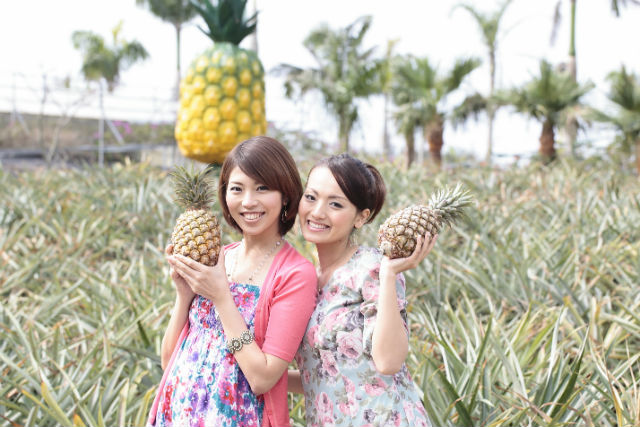 ラド観光 沖縄営業所の写真1