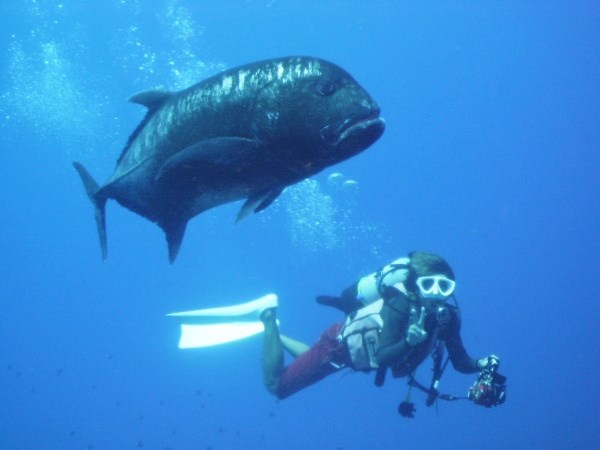 ジョイクリエイト沖縄ティーダの写真1