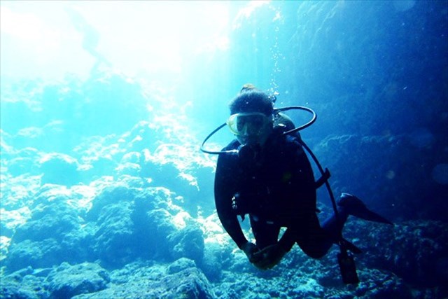 マリンカンパニーの写真1