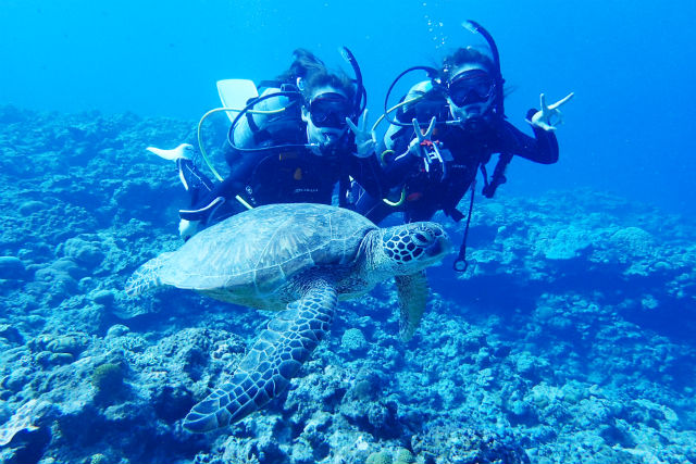 沖縄ダイビングショップKAHANAの写真1