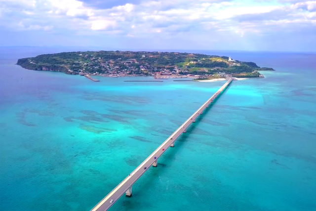 沖縄サンゴツアーの写真1