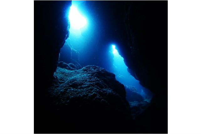 ココオーシャンの写真1