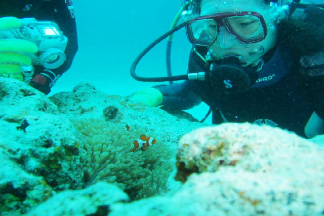 DUNK DIVING ENTERTAINMENTの写真1