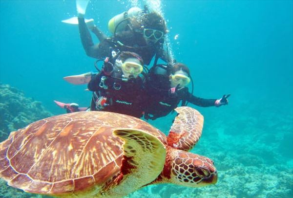 リーファーズの写真1