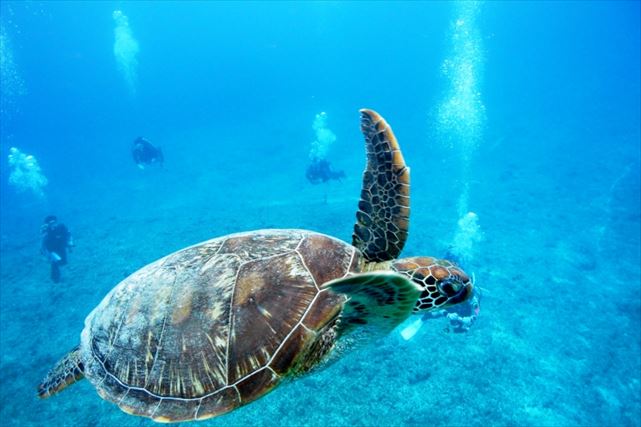 ふぁみーゆの写真1