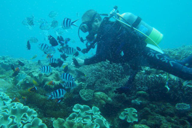 マリンショップ ぶくぶくの写真1