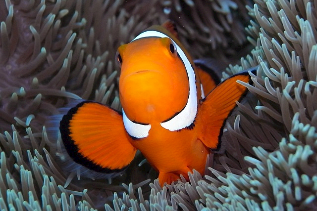 ウォーターボールダイビングスクールの写真1