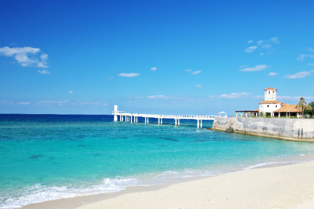 ジャンボツアーズの写真1