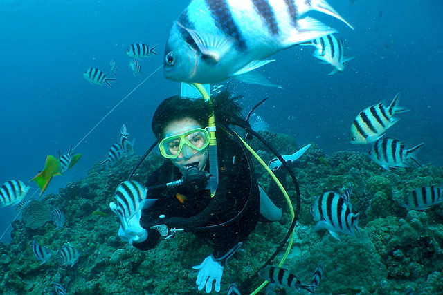 ブルーバイブルーおきなわの写真1