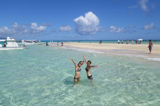 ラッキークローバーの写真1