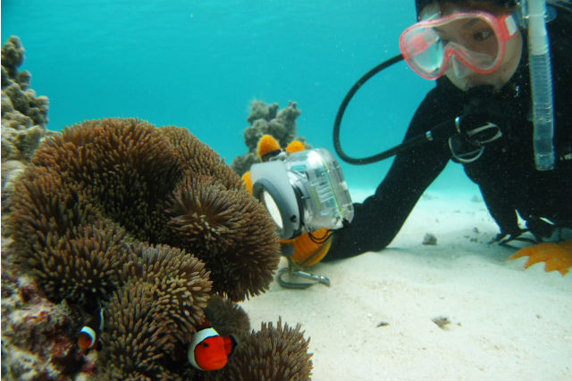 石垣島ダイビングショップABCdiveの写真1