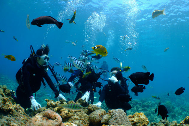 JAMマリンクラブの写真1