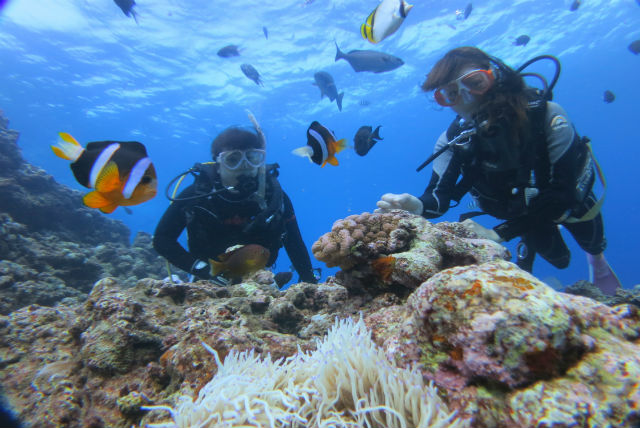 R-STYLE OKINAWAの写真1