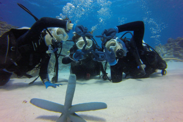 ダイブロックの写真1