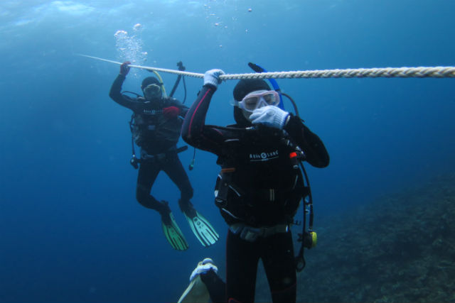 オーシャンビーチちゃたんの写真1
