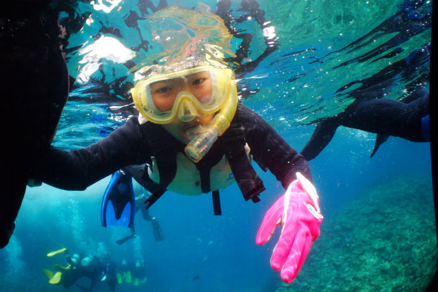 Marine activity NATURAの写真1