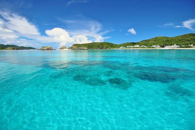 アオカワダイビングサービスの写真1