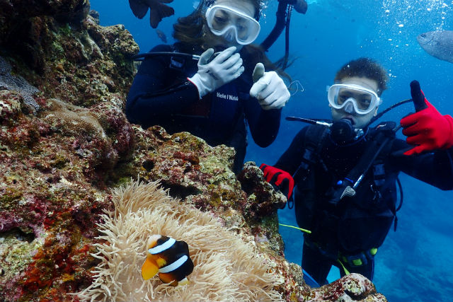 プロテクトダイビング沖縄の写真1