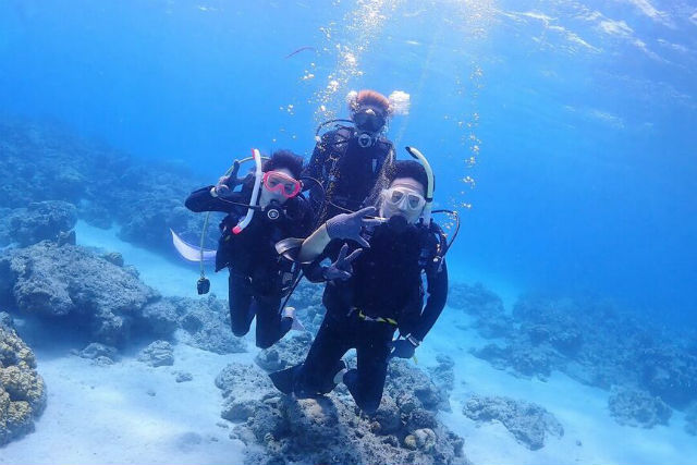 アイランドメッセージの写真1