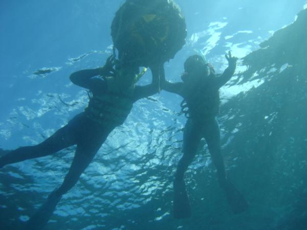 With Me Diveの写真1