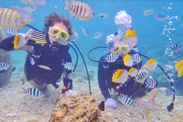 マナエンジョイダイビングの写真1