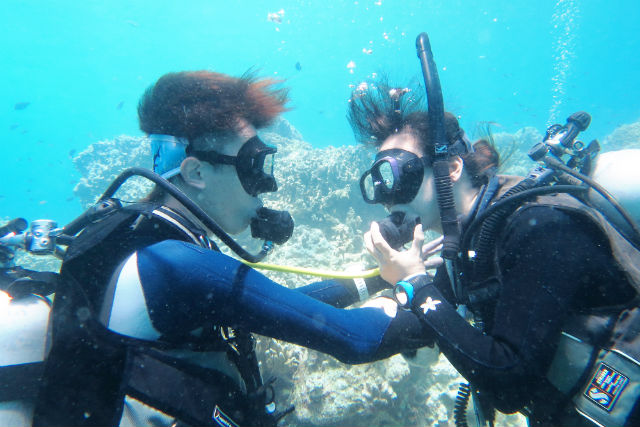 PILIALOHA  DIVING  SERVICESの写真1