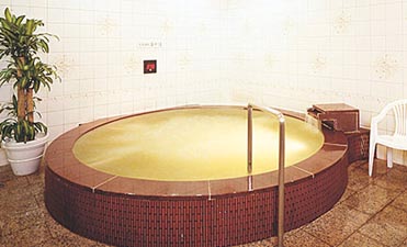 サウナ&カプセル 大東洋レディスの写真1