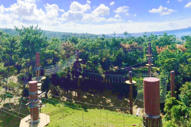 フォレストアドベンチャー in 恩納の写真1