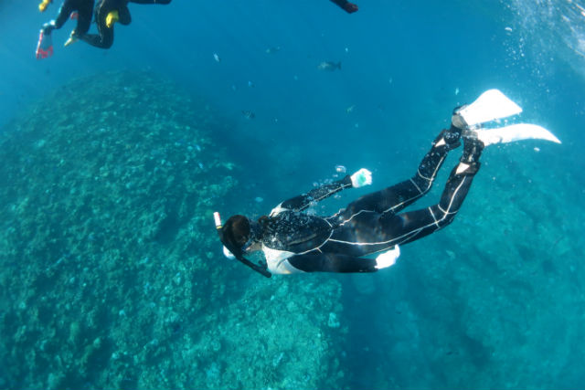 平田潜漁店の写真1